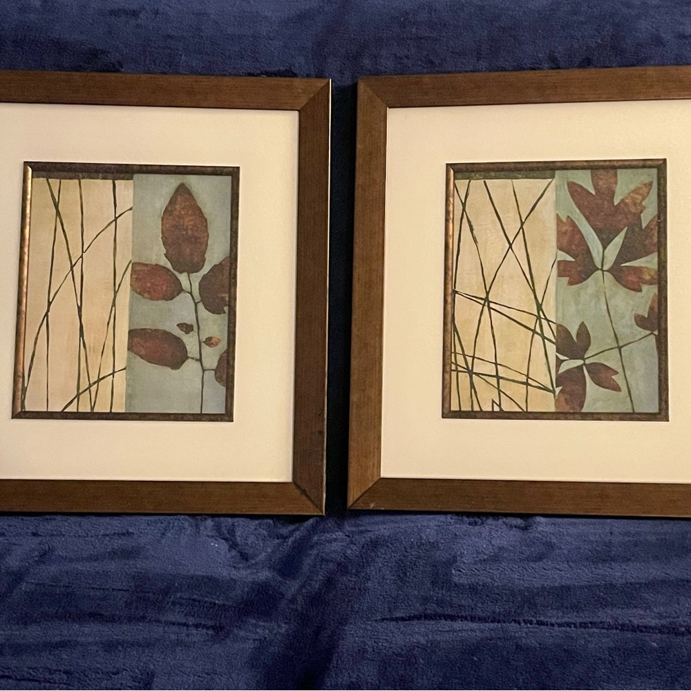 Framed Botanical Art Prints